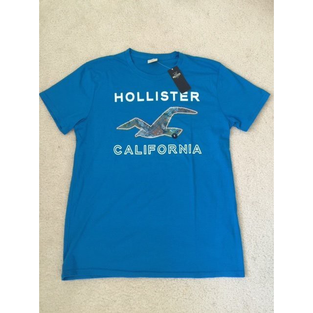 【美國JC】【清倉】 Hollister 海鷗 男 圓領 短袖 T恤 藍 S號 ~現貨在台