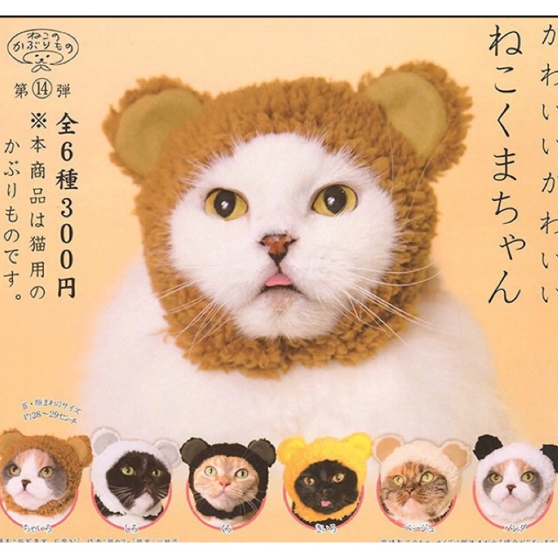 現貨 貓咪頭套扭蛋扭蛋熊耳朵篇寵物頭巾貓咪頭巾 蝦皮購物