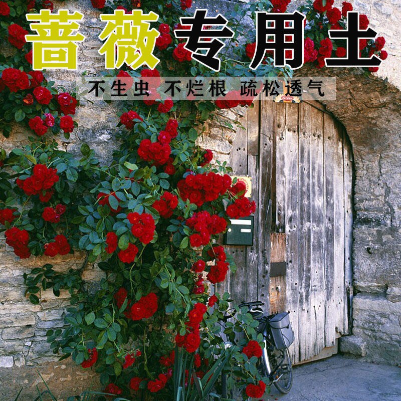 50 薔薇土 誕生日ライン友達