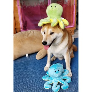 寵物八爪章魚發聲玩具 狗狗磨牙發洩玩具 拍照道具