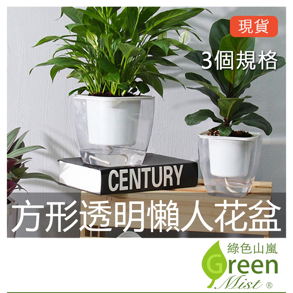 發票現貨 方形透明懶人花盆懶人花盆透明花盆棉繩自動吸水花盆可視窗口花盆免澆水室內盆栽蓄水花盆 綠色山嵐 蝦皮購物