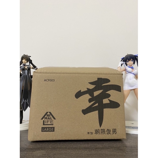 一起賣］2019 TTF RODY PPR + 老虎思朝隈俊男聯名款限定| 蝦皮購物