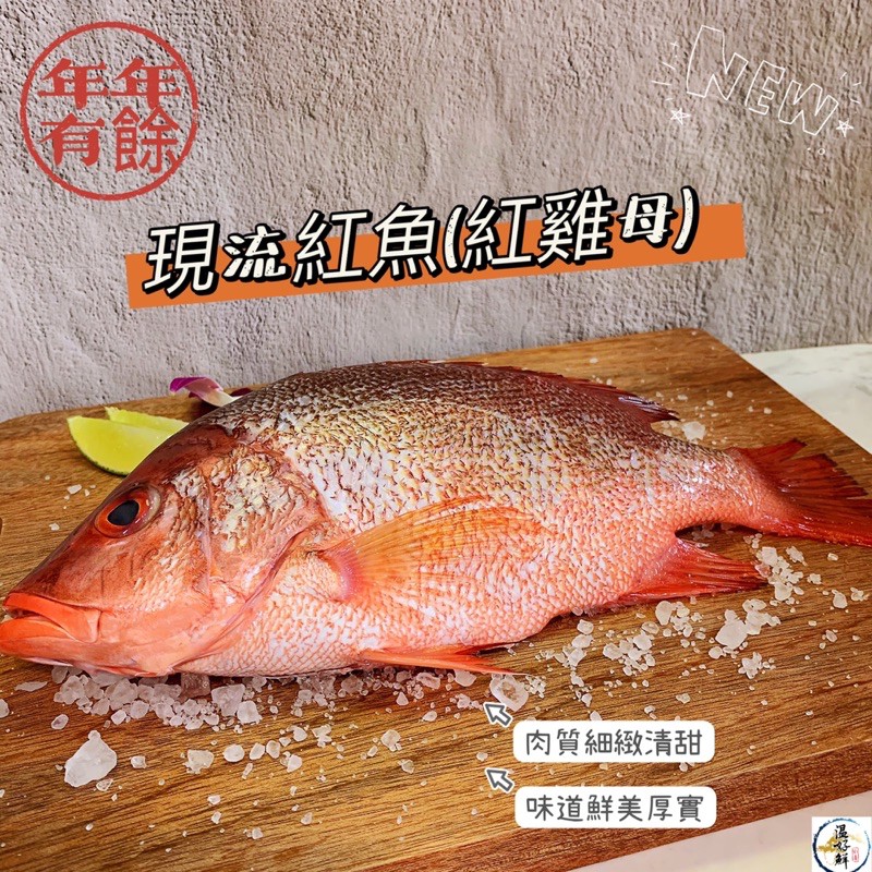 (温好鮮-水產)現流紅魚(紅雞母) 紅色的色澤 吉利討喜 為年菜宴客細緻好魚!!附發票