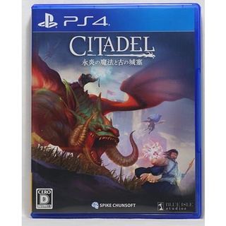 PS4 城塞 火焰之煉 中文字幕 Citadel Forged With Fire
