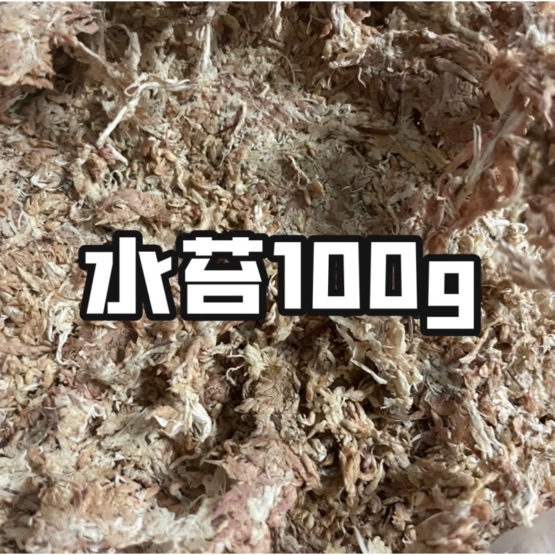 乾燥水苔ptt與dcard推薦網拍商品 22年1月 飛比價格