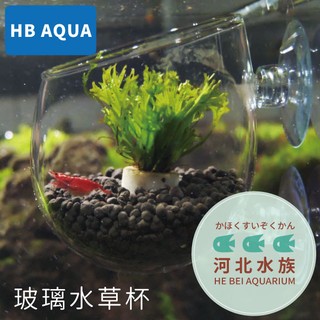 [ 河北水族 ] HB AQUA 【 玻璃水草杯 】 裝飾 造景 擺飾 飾品 水族 魚缸 小確幸