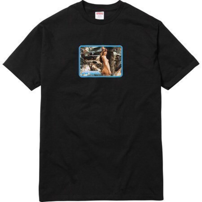 【area0439】2017 春夏 Supreme Larry Clark Girl Tee 相片 照片 Logo 裸女