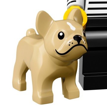 LEGO 樂高 沙色 法鬥 法國鬥牛犬 Bulldog 動物 狗 配件 全新品 , 17代 71018 十七代