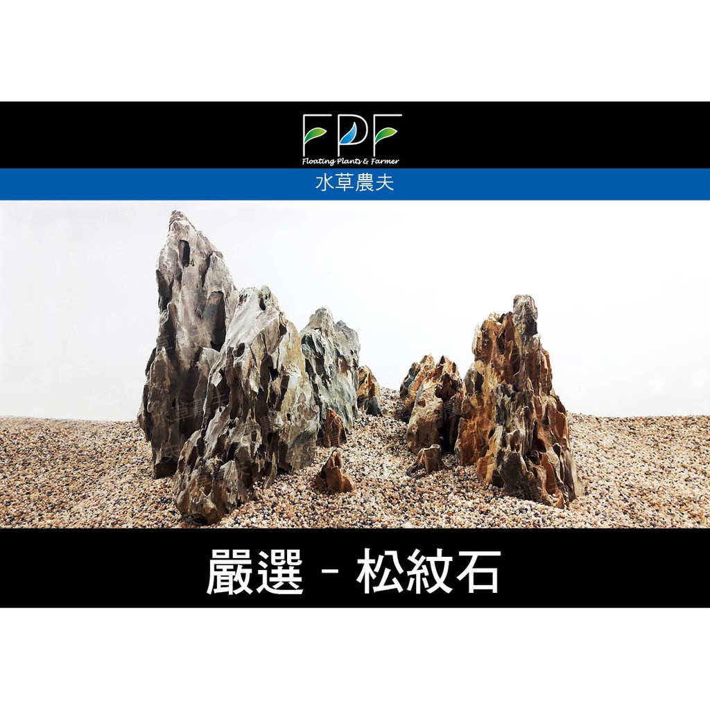 松紋石 虎皮石 青龍石 木化石 造景石 無隨機出貨 需線上挑石 蝦皮購物