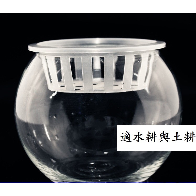 坡璃花瓶圓球水耕植物栽培皿 蝦皮購物