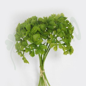 人造植物 8吋芹菜束 葉束單支葉材仿真花居家春夏裝飾園藝捧花資材插花盆栽花藝設計 蝦皮購物