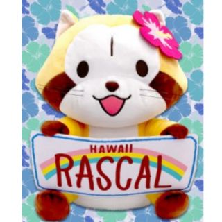 🐨🐨日本Toreba rascal 小浣熊景品 夏威夷造型抓樂霸