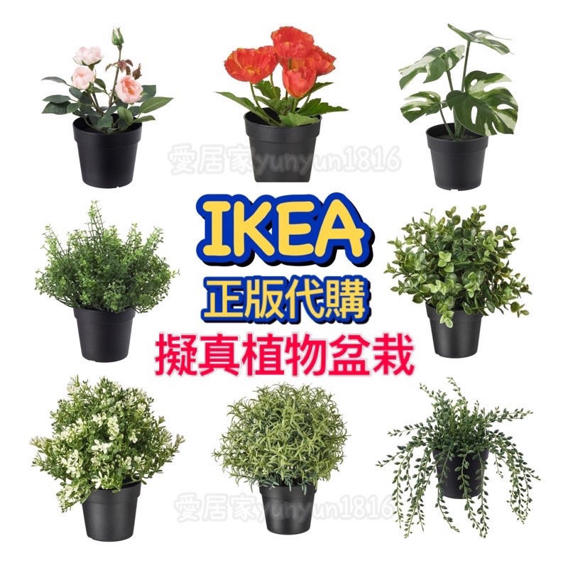 Ikea 盆栽 擬真植物免澆水開店佈置租屋植生牆綠化擺飾假花百里香羊齒蕨牛至 蝦皮購物