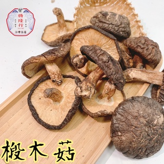 🇹🇼台灣 優質 椴木菇