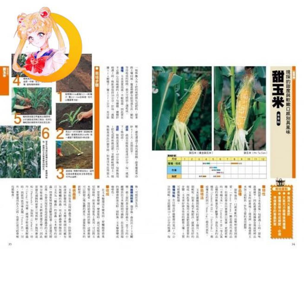 Vivian生活館優惠 新手種菜100招 自己種出70種家常菜 蝦皮購物