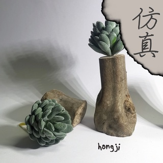 多肉 模擬多肉 微景觀 P33 假多肉植物 辦公室小物 療癒紓壓生日禮物拍照道具居家裝飾咖啡屋商店擺飾迷你木頭底座盆栽