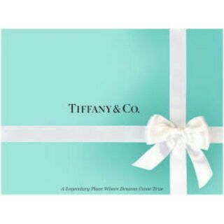 Tiffany &Co 925純銀 青鳥 和平鴿 項鍊 二手