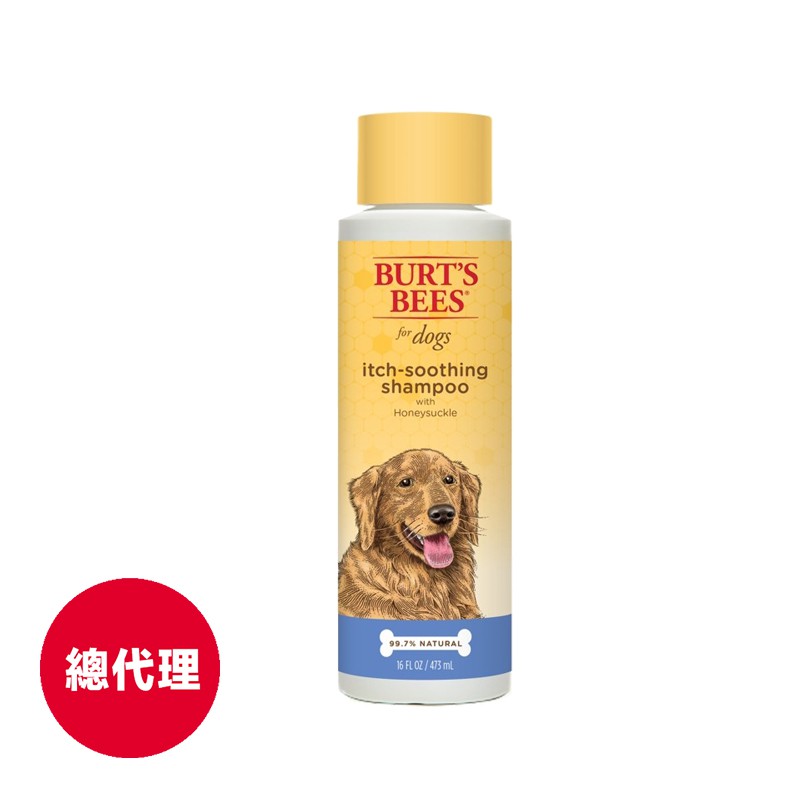 【Burt’s Bees小蜜蜂爺爺】金銀花酪梨沐浴露473ml