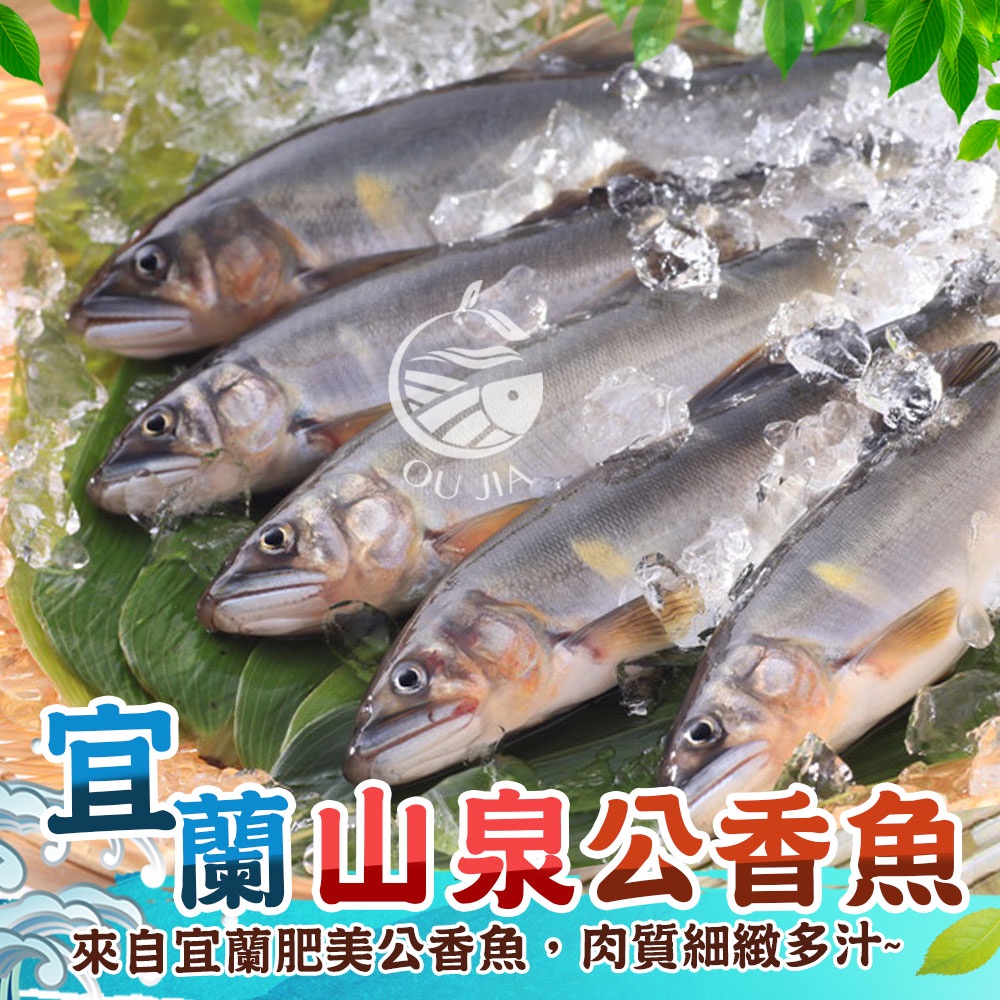 特選宜蘭公香魚-約125G/尾【歐嘉水產】燒烤 氣炸 香煎 全家799免運 蝦幣10倍送 餐廳供應 批發