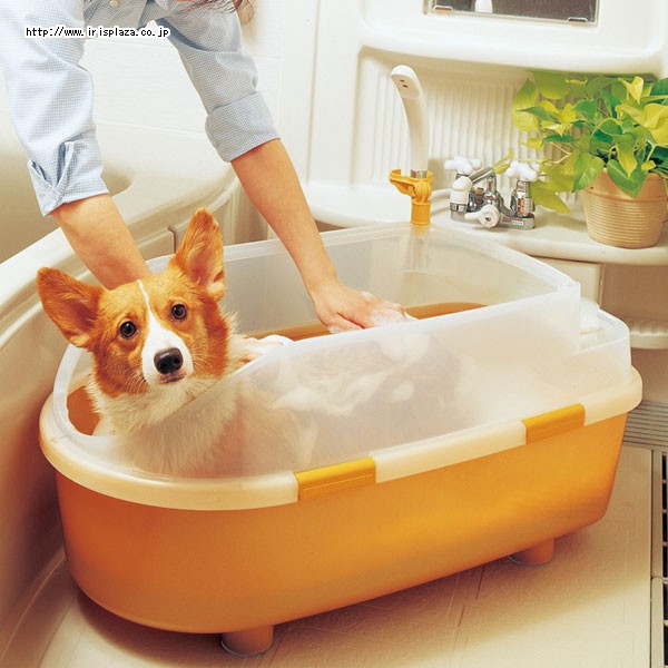 IRIS 犬貓狗塑膠寵物澡盆 浴缸 美容澎澎浴池 浴槽 BO-800E（BO800E）蓮蓬頭夾具設計，每件1,800元