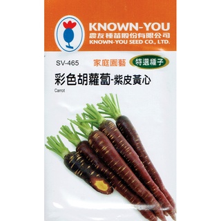 種子王國 彩色胡蘿蔔 紫皮黃心 Carrot (sv-465) 【蔬果種子】 農友種苗特選種子 每包約200粒