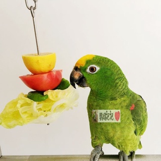 【快樂鳥日子】鸚鵡籠子配件-高品質純不鏽鋼水果叉/蘋果叉