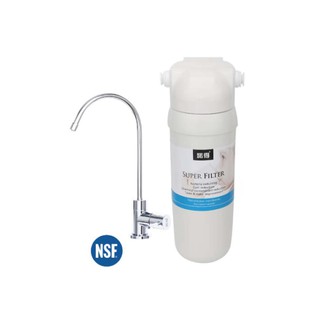 愛琴海廚房 荷蘭Norit 諾得廚下淨水器 除細菌 24.2.281A+NSF無鉛鵝頸龍頭 送基本安裝
