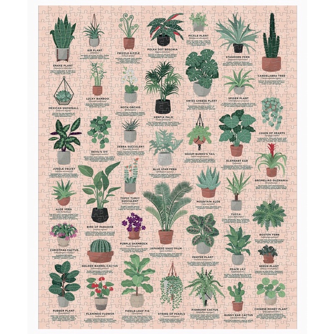 🈶️現貨！🧩Ridley’s plant 30多種觀葉植物照顧指南1000片拼圖houseplant puzzle