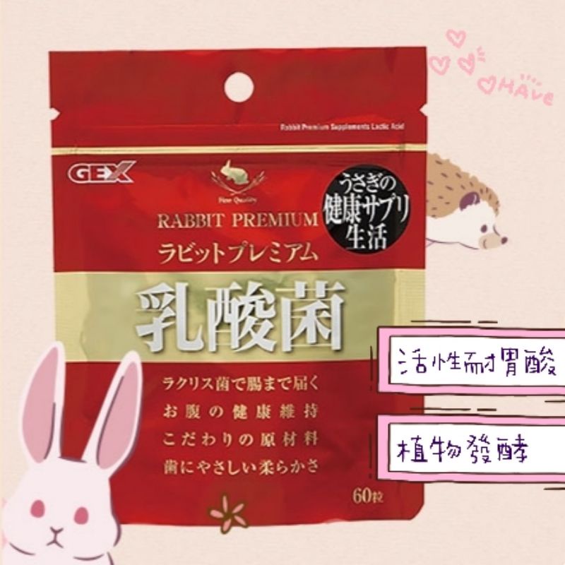 ♥寵愛食嗑♥GEX 金牌耐胃酸乳酸菌錠【60錠/包】 乳酸菌 益生菌 兔 龍貓 天竺鼠 倉鼠 現貨分裝