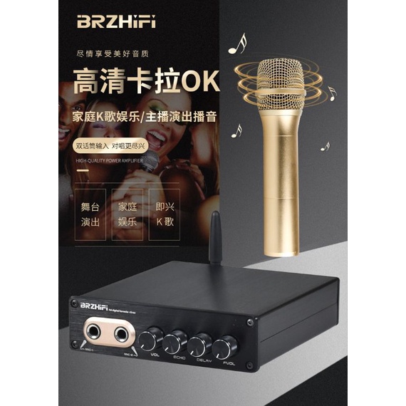 brzhifi 博聲 樂壇歌神 家庭KTV 卡拉OK 唱歌前級 主播混響效果  雙麥克風話筒K歌