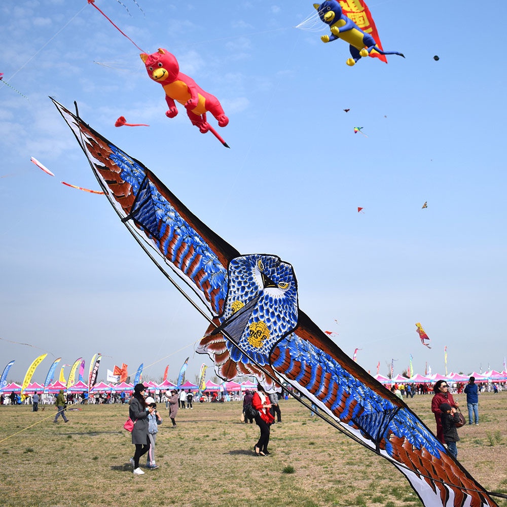 老鷹風箏 造型風箏 大型特大 高檔專業微風易飛 成人初學者 帶線輪大風箏24
