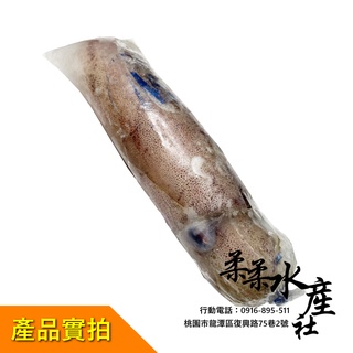 【柔柔水產社】活凍4a軟絲