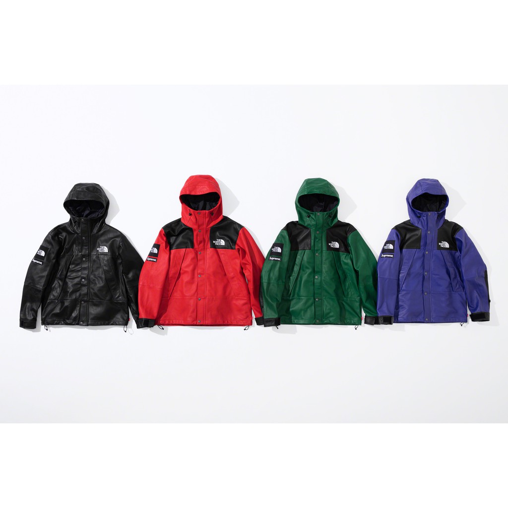 supreme north face leather parka