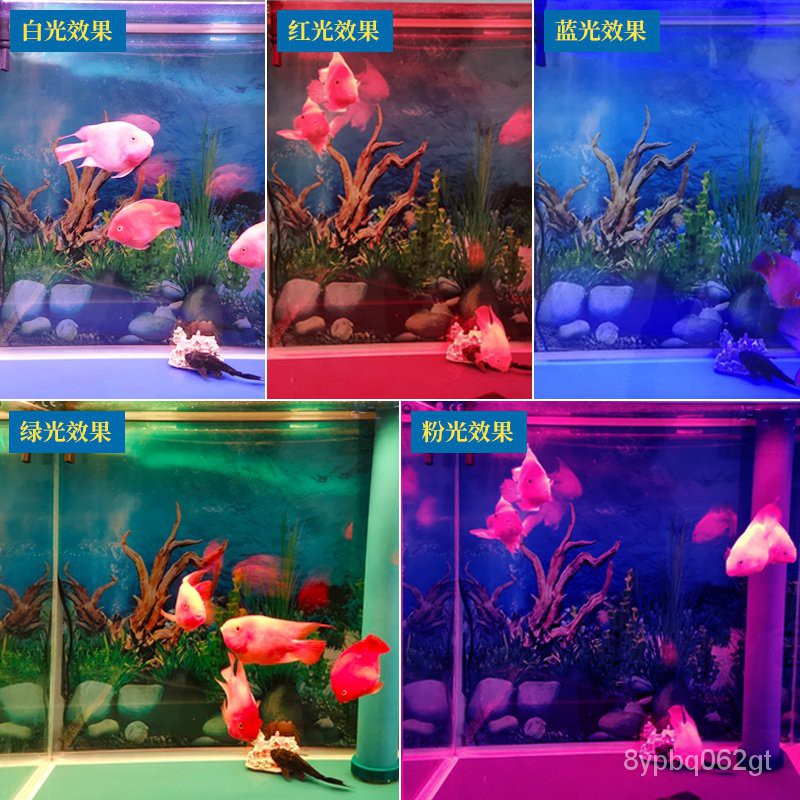 燈帶 現貨免運 魚缸潛水燈led防水龍魚燈專用水族箱水草金龍魚全光譜照明日光燈ve0c 蝦皮購物