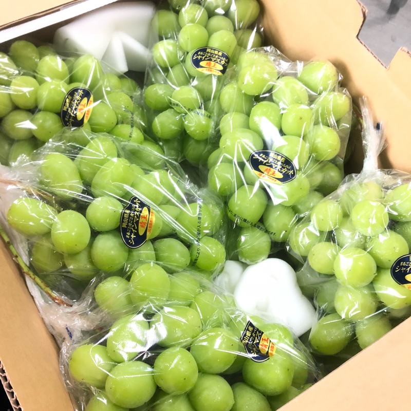 麝香葡萄全聯被評為最佳11 2021 Beecost