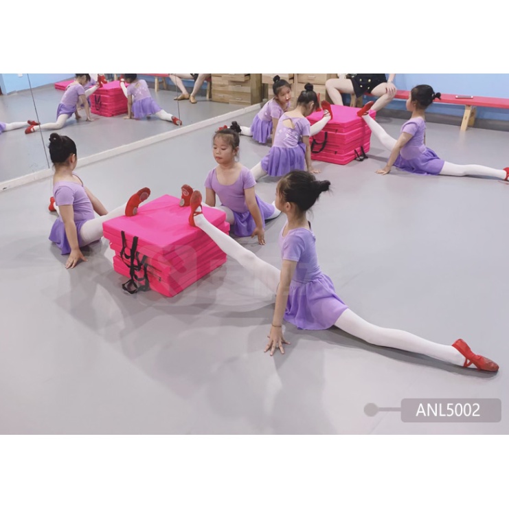 专业舞蹈房地胶芭蕾舞蹈室专用中国舞街舞教室塑胶地板舞台地胶垫