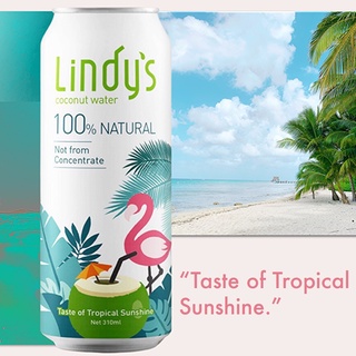 【買就送/免運】 Lindy's 100%椰子水(310mlX24入) 皇家香水椰 #KOH#樹頂#椰子#椰子水#泰國
