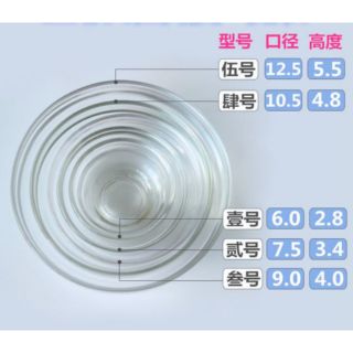 美容玻璃皿 美容小碗 美容小缽 專業美容乙丙級考試精油碗(厚玻璃材質)玻璃碗 精油碗 面膜碗 敷臉碗 沙拉碗 美容用具