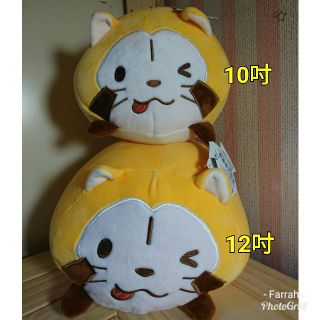 Rascal 拉斯卡爾 絨毛娃娃大抱枕 小浣熊 頭形抱枕 三貝多 圓滾滾