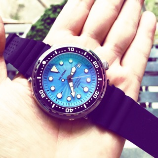 六樓先生 sharkmaster 47mm 藍寶石鏡面 自動上鍊 機械錶 潛水錶