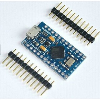 正廠Arduino Pro Micro / Leonardo Micro 5v /16MHz Nano