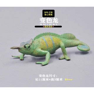 （稀有珍藏）SPG 正版 變色龍 蜥蜴 爬蟲類 模擬動物模型 套裝 野生動物 兒童公仔
