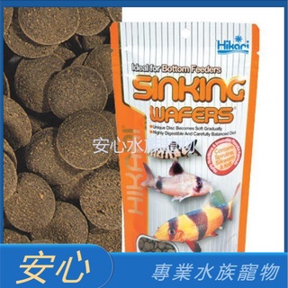 [安心水族] 日本 Hikari 高夠力 鼠科魚飼料 1kg 沉底飼料 底棲魚飼料 異型飼料 HK-21566