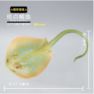 （稀有珍藏）SPG 正版 斑點 鰩魚 魟魚 魟 海洋動物 模擬動物模型 套裝 野生動物 兒童玩具 益智