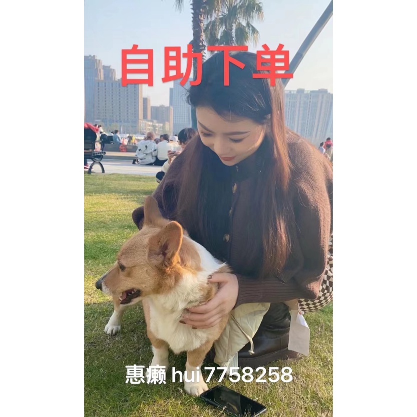 時尚女裝惠惠直播鏈接6