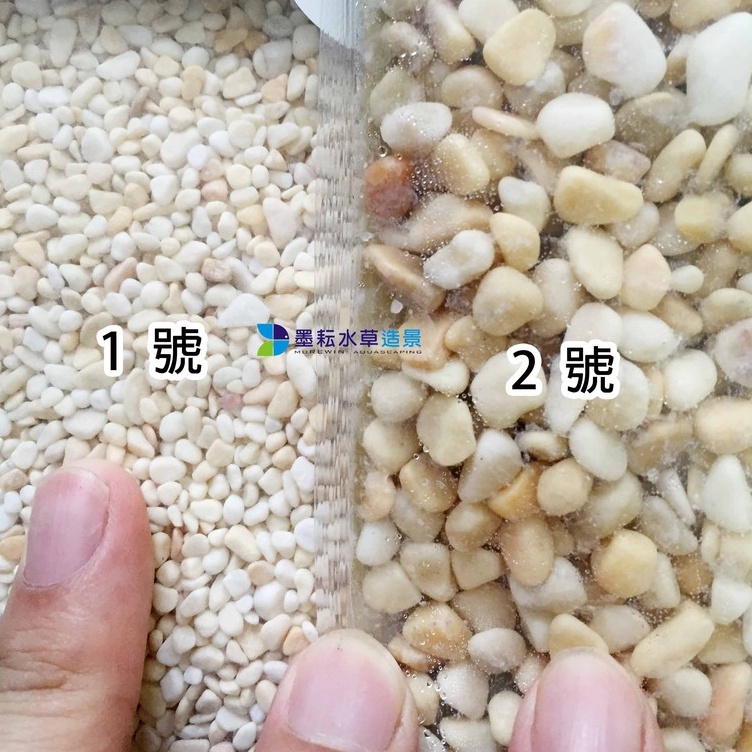 墨耘 水族底砂 杏黃石細砂底砂米白 杏色1號2號 1 5kg 75 蝦皮購物