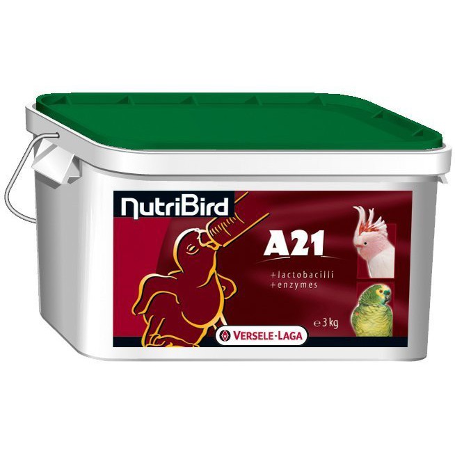 (已改新標籤) 凡賽爾 A21中小型鸚鵡奶粉-3kg | 小型鸚鵡幼鳥手餵飼料鳥奶粉