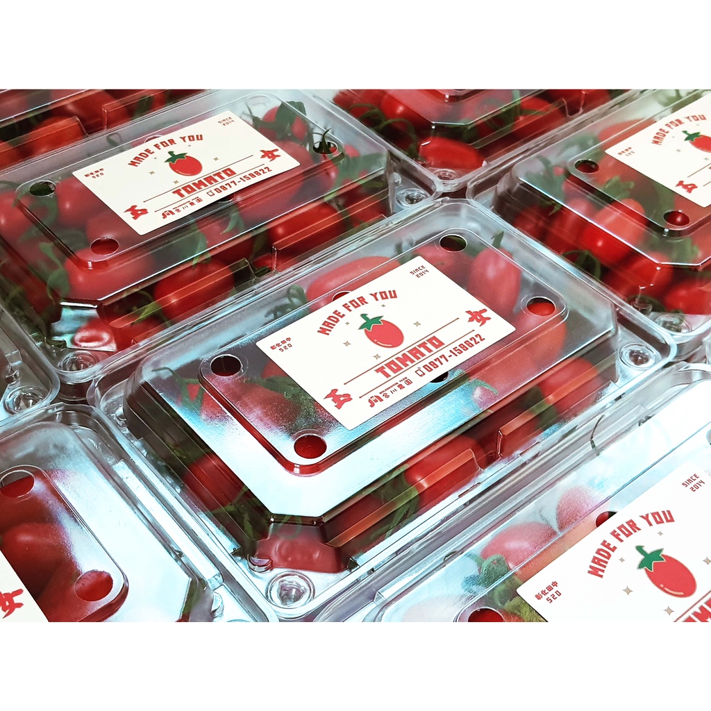 金川農園-玉女小番茄  溫室小番茄 產地直送 皮薄多汁 彰化田中 溫室 小番茄