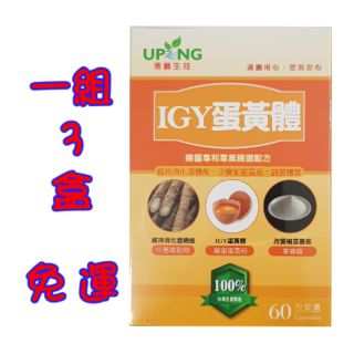 ⭐限時滿額贈⭐[優惠組3盒裝] 湧鵬生技 IGY蛋黃體 60顆/盒