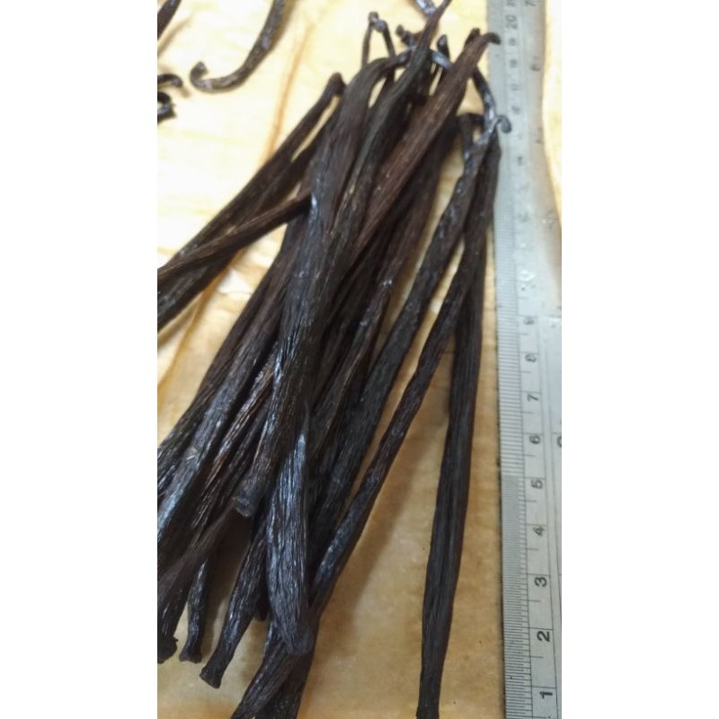 大溪地品種 香草莢 13cm~17cm 50克 印尼屬新幾內亞產 秒殺特惠限量